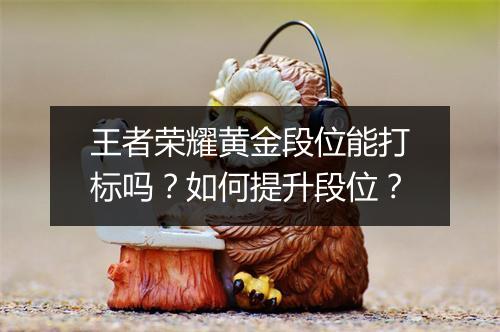 王者荣耀黄金段位能打标吗？如何提升段位？