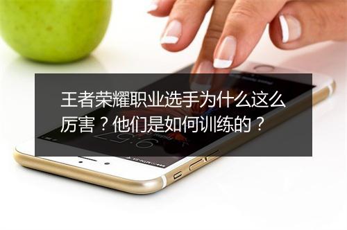 王者荣耀职业选手为什么这么厉害？他们是如何训练的？