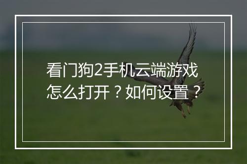 看门狗2手机云端游戏怎么打开？如何设置？