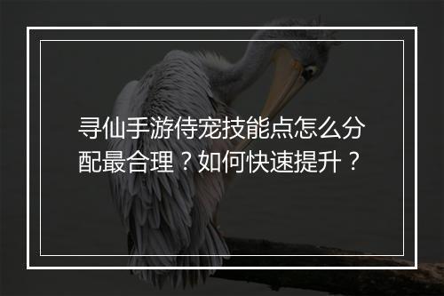 寻仙手游侍宠技能点怎么分配最合理？如何快速提升？