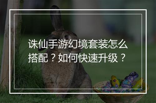 诛仙手游幻境套装怎么搭配？如何快速升级？