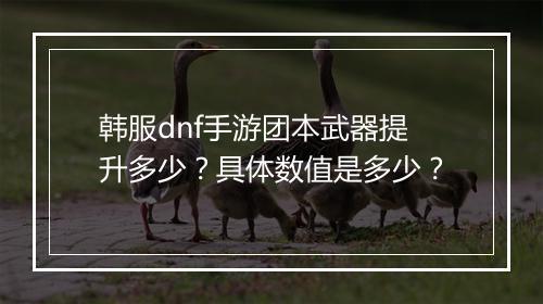 韩服dnf手游团本武器提升多少？具体数值是多少？