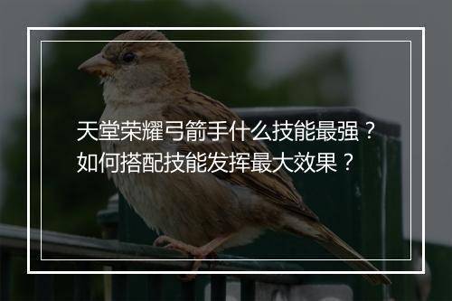 天堂荣耀弓箭手什么技能最强？如何搭配技能发挥最大效果？