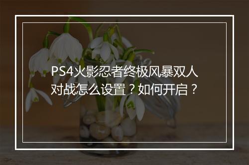 PS4火影忍者终极风暴双人对战怎么设置？如何开启？
