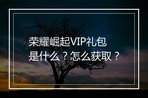 荣耀崛起VIP礼包是什么？怎么获取？