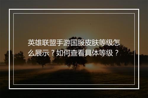 英雄联盟手游国服皮肤等级怎么展示？如何查看具体等级？