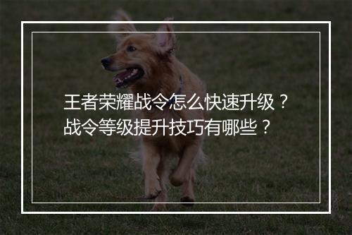 王者荣耀战令怎么快速升级？战令等级提升技巧有哪些？