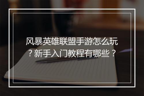 风暴英雄联盟手游怎么玩？新手入门教程有哪些？