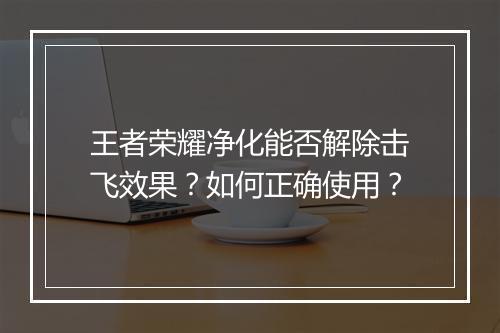 王者荣耀净化能否解除击飞效果？如何正确使用？