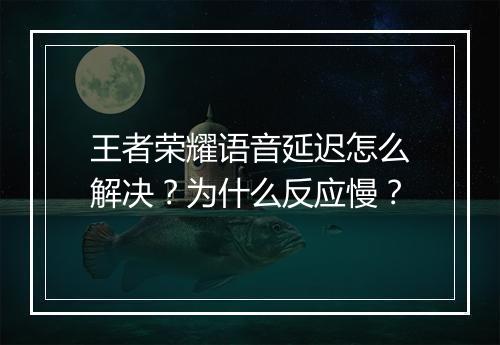 王者荣耀语音延迟怎么解决？为什么反应慢？