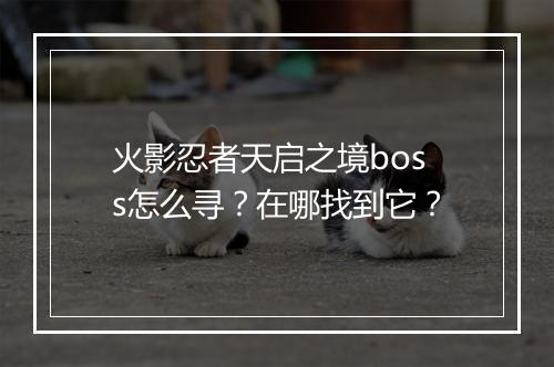 火影忍者天启之境boss怎么寻？在哪找到它？