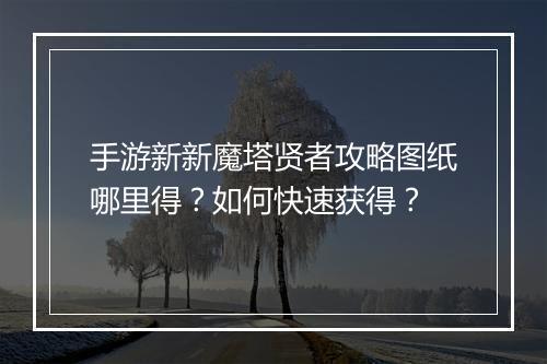 手游新新魔塔贤者攻略图纸哪里得？如何快速获得？