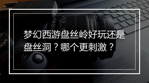梦幻西游盘丝岭好玩还是盘丝洞？哪个更刺激？