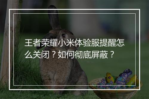 王者荣耀小米体验服提醒怎么关闭？如何彻底屏蔽？