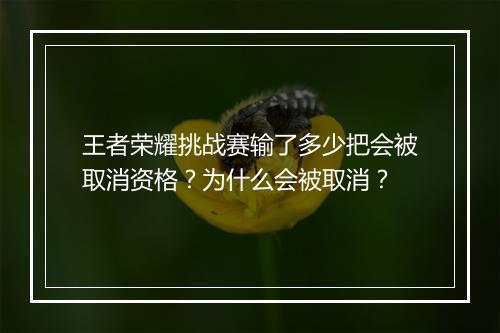王者荣耀挑战赛输了多少把会被取消资格？为什么会被取消？