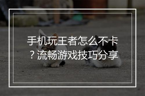 手机玩王者怎么不卡？流畅游戏技巧分享