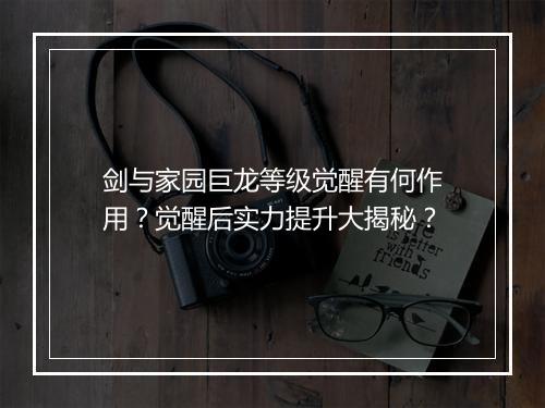 剑与家园巨龙等级觉醒有何作用？觉醒后实力提升大揭秘？