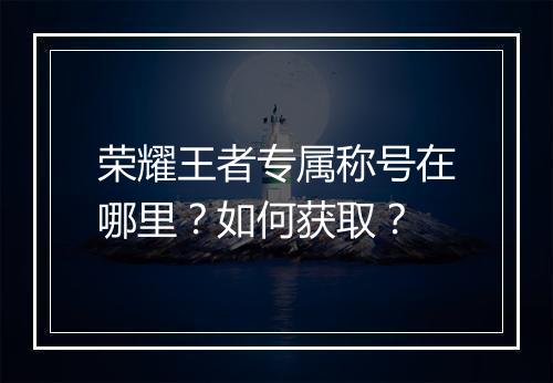 荣耀王者专属称号在哪里？如何获取？