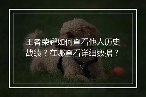 王者荣耀如何查看他人历史战绩？在哪查看详细数据？
