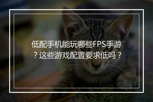 低配手机能玩哪些FPS手游？这些游戏配置要求低吗？