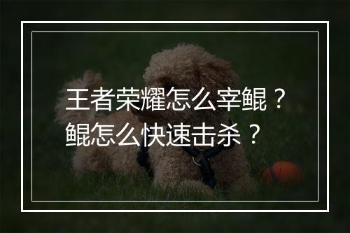 王者荣耀怎么宰鲲？鲲怎么快速击杀？