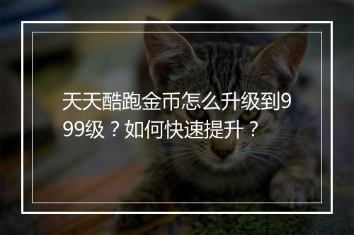 天天酷跑金币怎么升级到999级?如何快速提升?