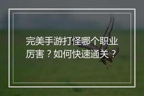 完美手游打怪哪个职业厉害？如何快速通关？