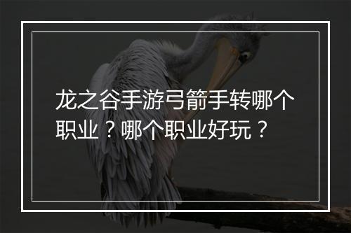 龙之谷手游弓箭手转哪个职业？哪个职业好玩？