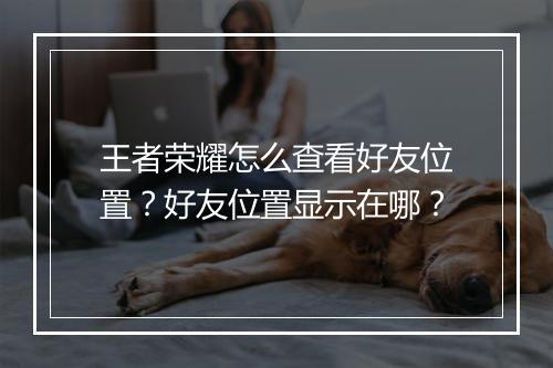 王者荣耀怎么查看好友位置？好友位置显示在哪？