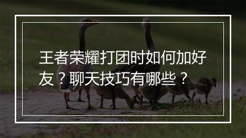 王者荣耀打团时如何加好友？聊天技巧有哪些？