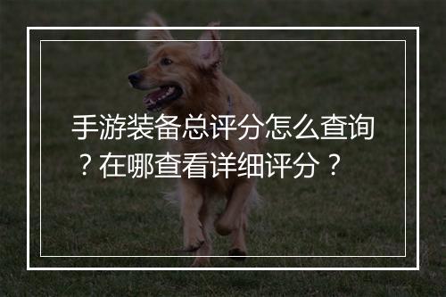 手游装备总评分怎么查询？在哪查看详细评分？