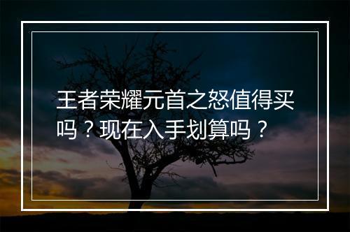 王者荣耀元首之怒值得买吗？现在入手划算吗？
