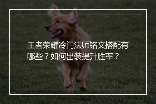 王者荣耀冷门法师铭文搭配有哪些？如何出装提升胜率？