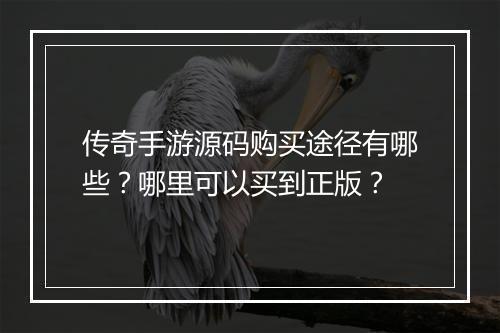传奇手游源码购买途径有哪些？哪里可以买到正版？