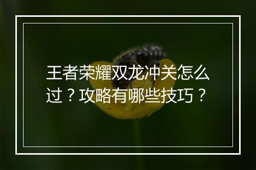 王者荣耀双龙冲关怎么过？攻略有哪些技巧？