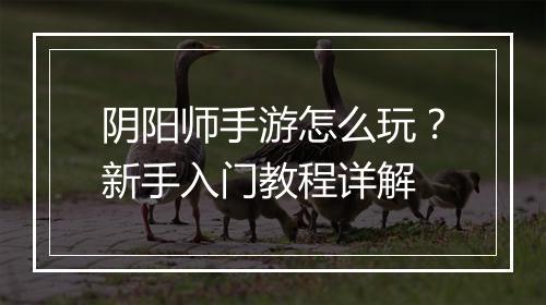 阴阳师手游怎么玩？新手入门教程详解