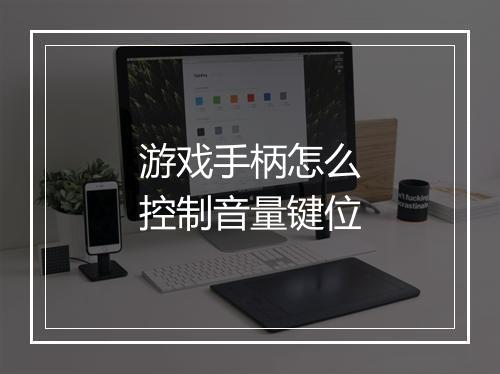 游戏手柄怎么控制音量键位