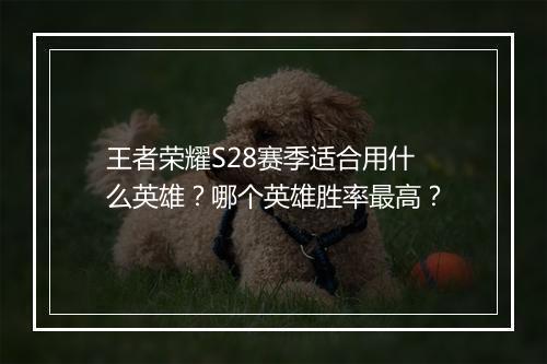 王者荣耀S28赛季适合用什么英雄？哪个英雄胜率最高？