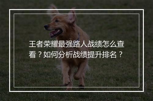 王者荣耀最强路人战绩怎么查看？如何分析战绩提升排名？