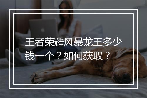王者荣耀风暴龙王多少钱一个？如何获取？