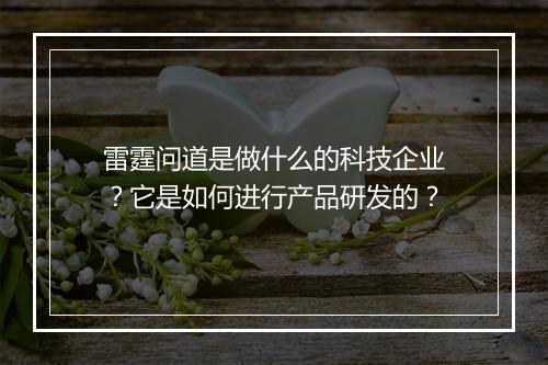 雷霆问道是做什么的科技企业？它是如何进行产品研发的？