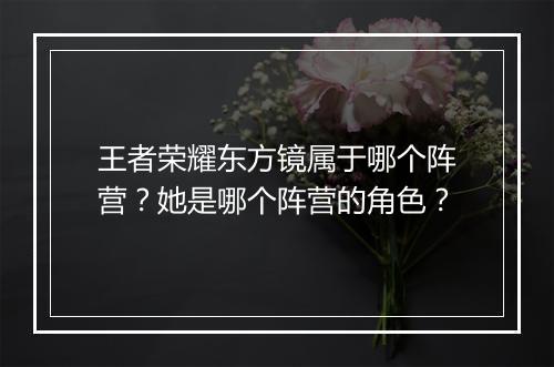 王者荣耀东方镜属于哪个阵营？她是哪个阵营的角色？