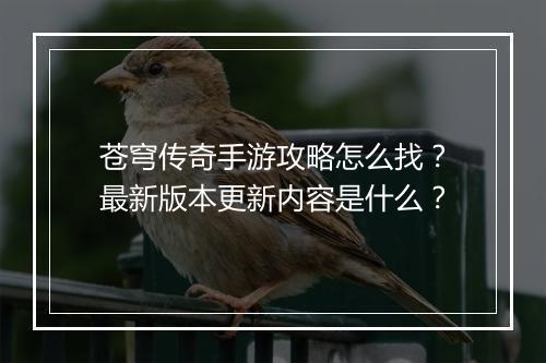 苍穹传奇手游攻略怎么找？最新版本更新内容是什么？