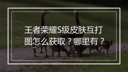 王者荣耀S级皮肤互打图怎么获取？哪里有？