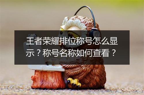 王者荣耀排位称号怎么显示?称号名称如何查看?