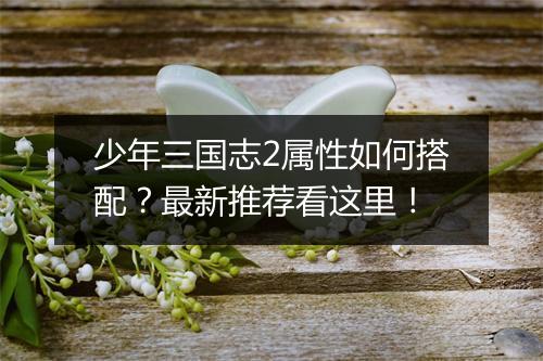少年三国志2属性如何搭配？最新推荐看这里！
