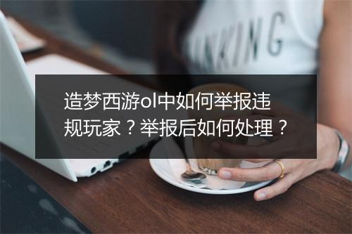 造梦西游ol中如何举报违规玩家？举报后如何处理？
