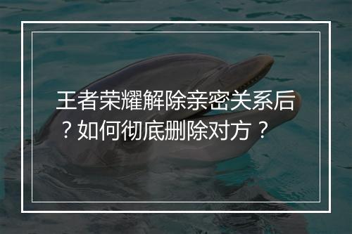 王者荣耀解除亲密关系后？如何彻底删除对方？