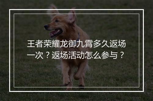 王者荣耀龙御九霄多久返场一次？返场活动怎么参与？