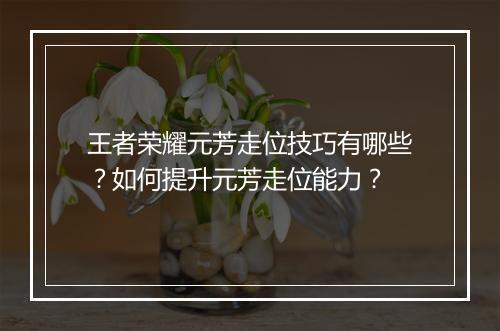 王者荣耀元芳走位技巧有哪些？如何提升元芳走位能力？